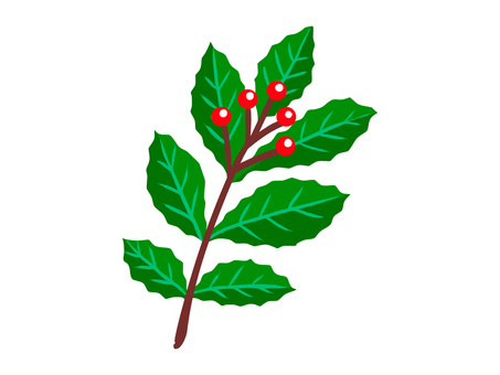 赤い実のついたヒイラギ（線なし） クリスマス,ヒイラギの実,聖夜,イヴ,冬,12月,イベント,ホリデー,web素材,ウェブのイラスト素材