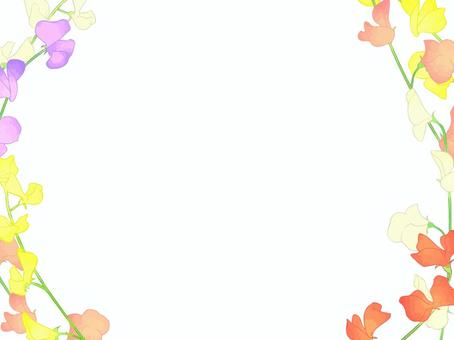 カラフルなスイートピーフレーム