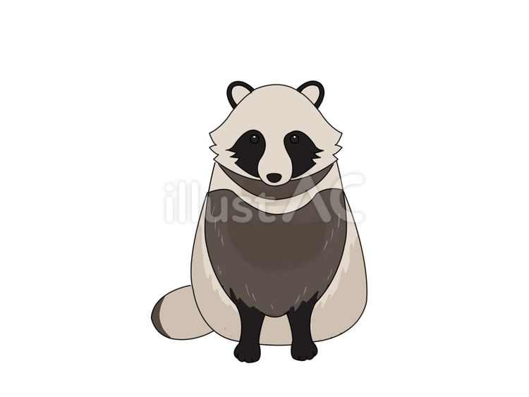 タヌキ（お座り） タヌキ,動物,日本のイラスト素材