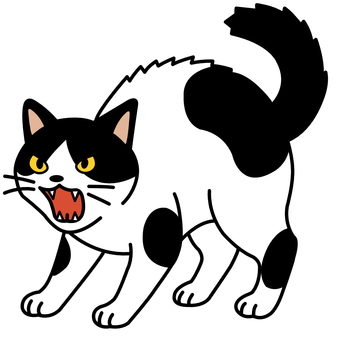 シャーシャー怒るネコ ネコ,怒る,威嚇,白,黒,逆立つのイラスト素材