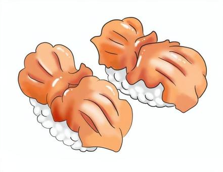 寿司ネタのイラスト　アカ貝 アカ貝,寿司,握り,食べ物,料理,献立,メニュー,和食,海産物,挿絵のイラスト素材