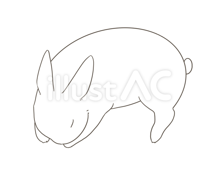 ごろ寝するうさぎ うさぎ,白うさぎ,白のイラスト素材