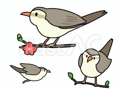 ウグイスさんのイラスト
