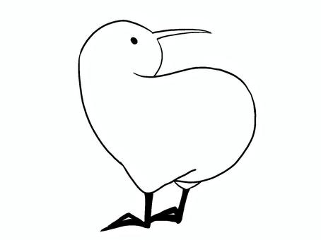 キウイバード線画 キウイバード線画 キウイ,鳥,手描き,線画,シンプル,塗り絵,黒,ニュージーランド,飛べない鳥,かわいいのイラスト素材