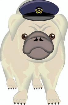 警察・パグ 警察,帽子,被る,パグ,犬,小型犬,ペット,かわいい,立体のイラスト素材