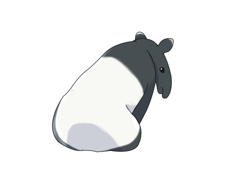 マレーバク（後ろ姿） マレーバク,動物,白,黒,ツートンカラー,後ろ姿,座るのイラスト素材