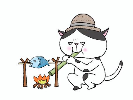 キャンプニャンコ（魚）ハチワレ キャンプ,飯,焚き火,猫,炎,キャンプ場,料理,調理,直火,炭火のイラスト素材