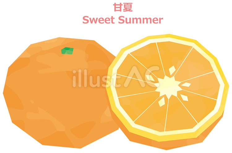 果物甘夏のイラスト　水彩風 甘夏,春,フルーツのイラスト素材