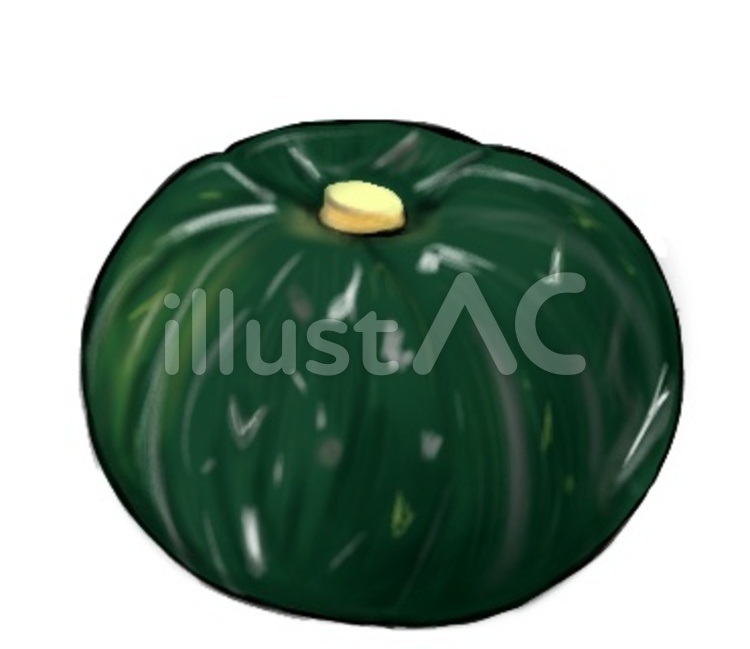 南瓜 南瓜,野菜,食べ物のイラスト素材