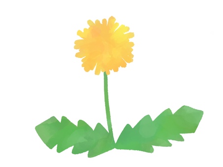 手描き水彩風　たんぽぽのイラスト たんぽぽ,花,植物,野草,春,手書き,水彩,絵の具,黄色,緑のイラスト素材