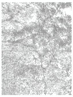 スクリーントーン風クラックのある地面背景 地面,線画,背景,コミック風背景,漫画風背景,トーン風背景,スクリーントーン,白黒背景,モノクロ背景,質感背景のイラスト素材