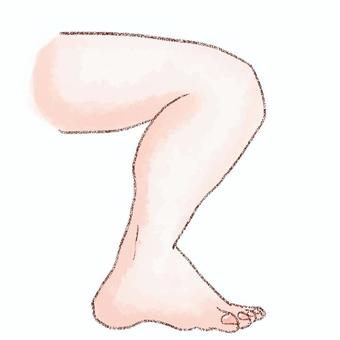 左脚　内側 脚,左,内側,水彩,鉛筆,足,指のイラスト素材