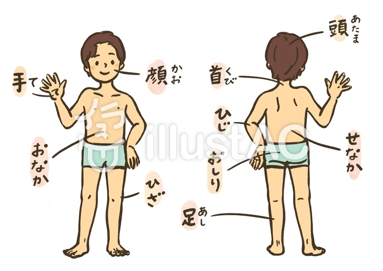 体の名前イラスト：簡単版(ふりがな表記) 人体,体,こどものイラスト素材