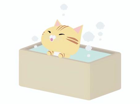 お風呂に入る笑顔のちゃとら猫 お風呂,猫,ちゃとら,笑顔,動物,かわいい,入浴のイラスト素材