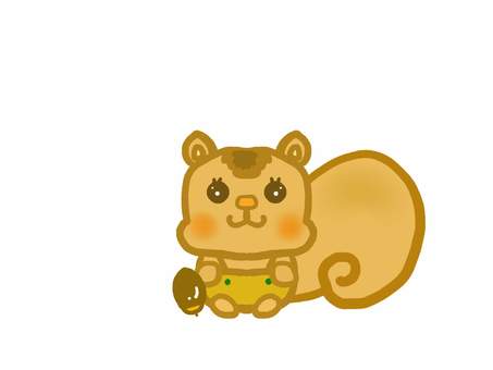 squirrel, esquilo, e bonito, bolota, JPG and PNG