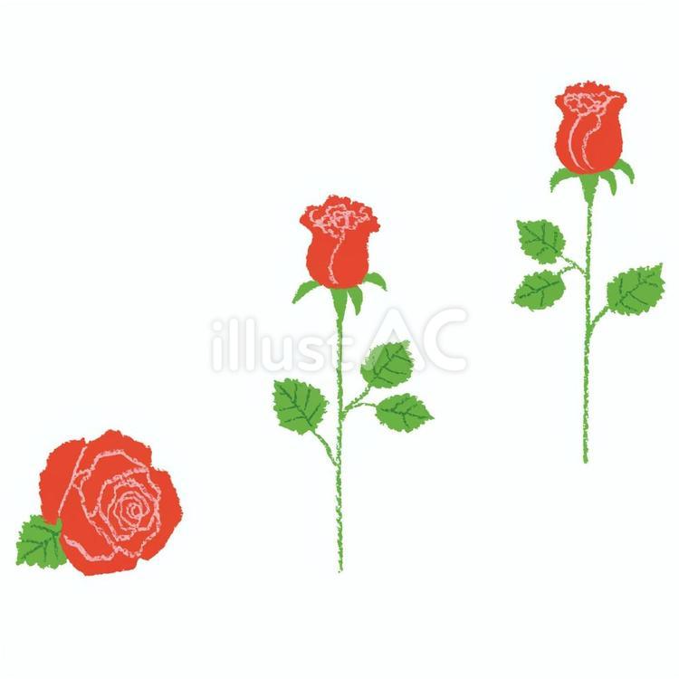 薔薇のイラスト　赤 バラ,花,赤い薔薇のイラスト素材