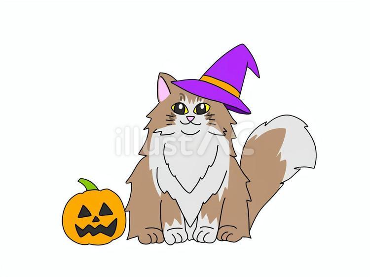 魔女の帽子をかぶった猫とかぼちゃ ハロウィン,かぼちゃ,ジャックオーランタンのイラスト素材