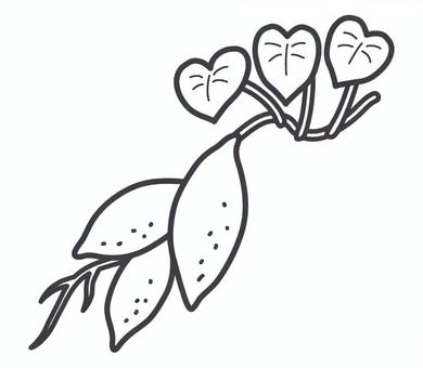 葉とツルのついたさつまいも　モノクロ さつまいも,葉,ツル,茎,芋掘り,根,秋,秋の味覚,畑,収穫のイラスト素材