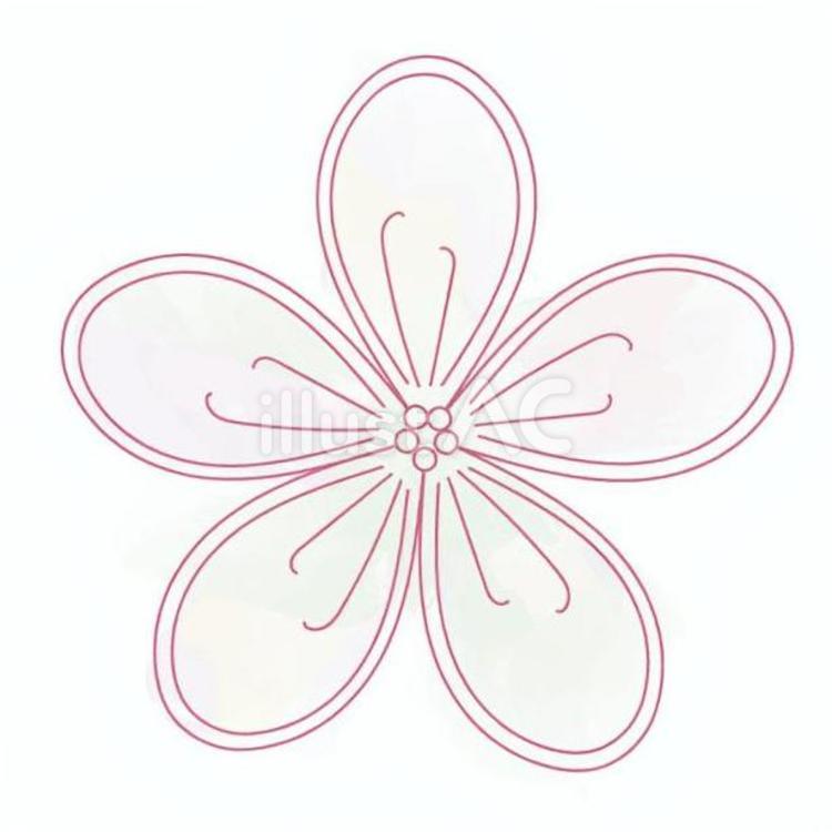 つまみ細工 つまみ細工,日本,紐のイラスト素材