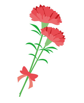 Carnation, mother's day, illustration, , JPG, PNG and AI