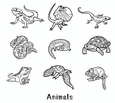 Illustration, reptiles, animal, lukewarm, 