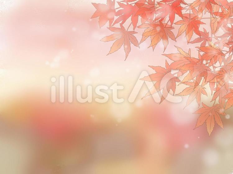 秋の風景 秋,モミジ,紅葉のイラスト素材