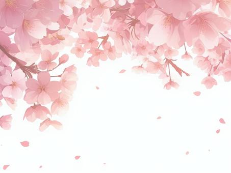 Cherry blossom frame, , JPG