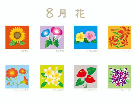 8月の花 ひまわり,あさがお,ハイビスカス,オニユリ,ノウゼンカズラ,プルメリア,アンスリウム,ペチュニア,8月,花のイラスト素材