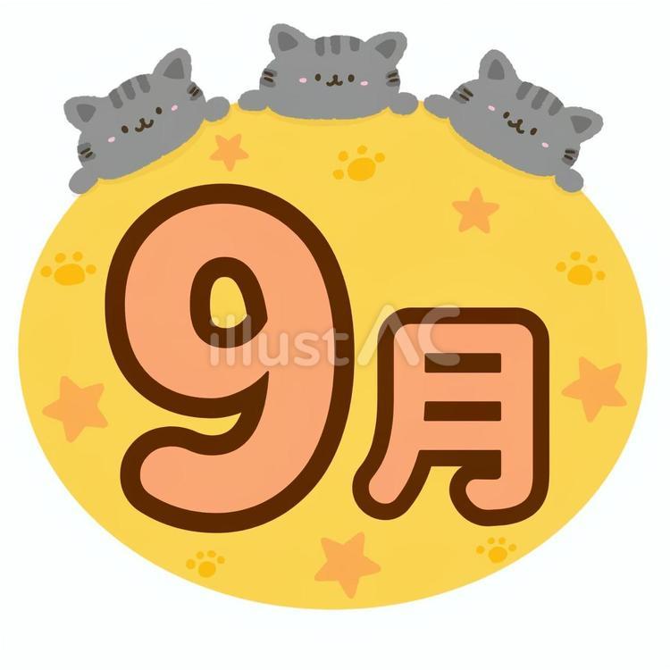かわいい猫3匹•星々の9月（満月色） 猫,動物,9月のイラスト素材