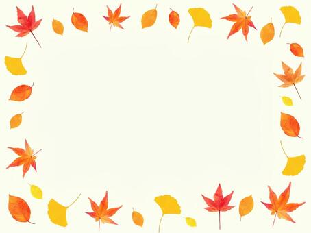 秋の植物 紅葉フレーム 秋,フレーム,紅葉,もみじ,いちょう,銀杏,背景,飾り枠,装飾,落ち葉のイラスト素材