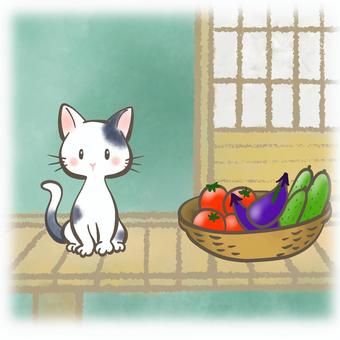 田舎の暮らし2 田舎,縁側,ねこ,野菜,里山,古民家,えんがわ,日本,和風,のんびりのイラスト素材
