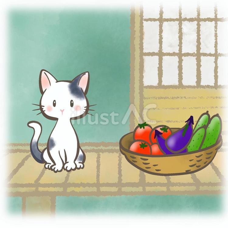 田舎の暮らし2 田舎,縁側,ねこのイラスト素材