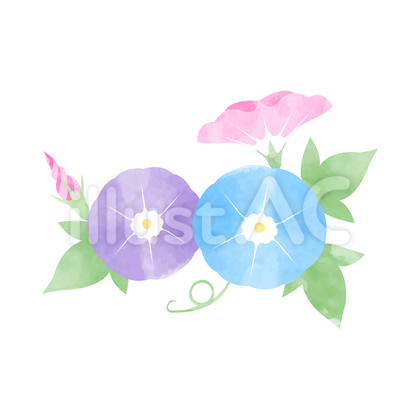 3色の朝顔(水彩風)③