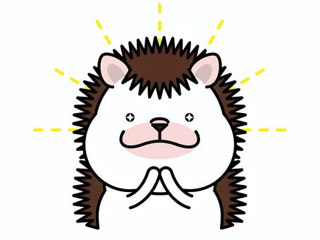 ハリネズミさん 憧れ ハリネズミ,憧れ,眼差し,輝き,キラキラ,集中線,動物,キャラクター,哺乳類,ベクターのイラスト素材