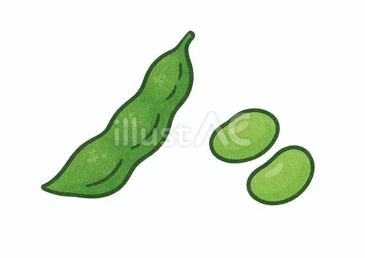 枝豆のイラスト（さやと豆） 枝豆,夏野菜,緑のイラスト素材