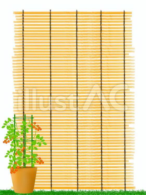 トマト トマト,野菜,夏のイラスト素材