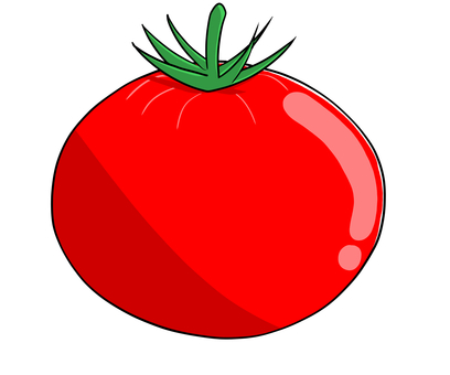 トマトのイラスト トマト,夏野菜,緑黄色野菜,野菜,食物繊維,食事,健康,ポリフェノール,水分,ビタミンcのイラスト素材