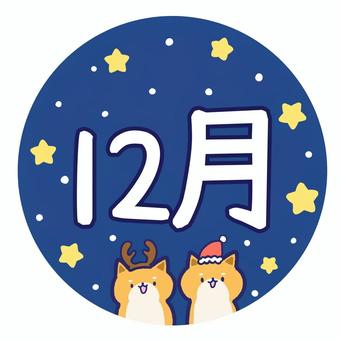 柴犬とクリスマスの冬の12月 柴犬,犬,動物,12月,月,12,月刊,暦,タイトル,見出しのイラスト素材