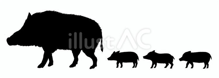 イノシシ親子のシルエット イノシシ,猪,親子のイラスト素材