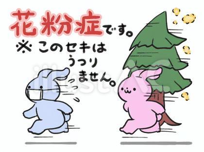 花粉症なので安心してくださいうさぎ