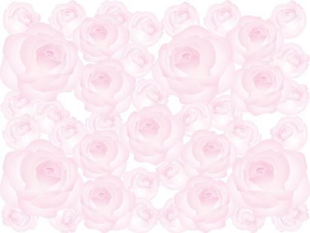薔薇の花-背景
