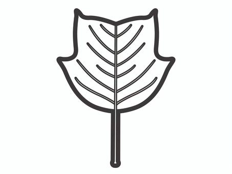 ユリノキの葉03