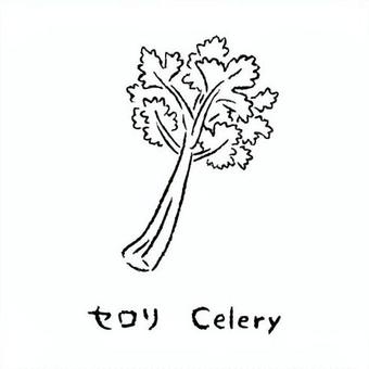 手描きのセロリ2_名称入_白黒 セロリ,野菜,アイコン,食べ物,シンプル,食材,健康,イラスト,料理,農業のイラスト素材