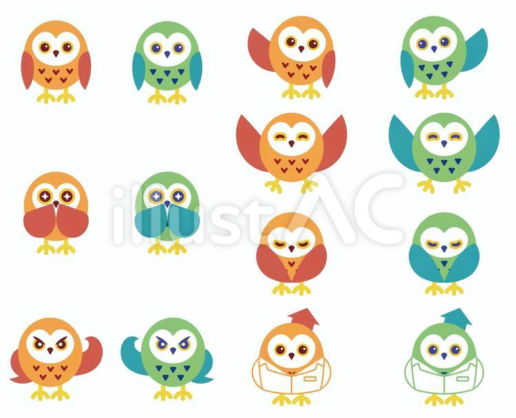 フクロウ フクロウ,梟,鳥のイラスト素材