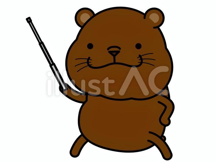 クマさん 指し棒 指し棒,指示棒,注目のイラスト素材