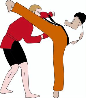 異種格闘技　　 異種格闘技,打撃,空手,柔術,サンボ,格闘家,対決,男のイラスト素材