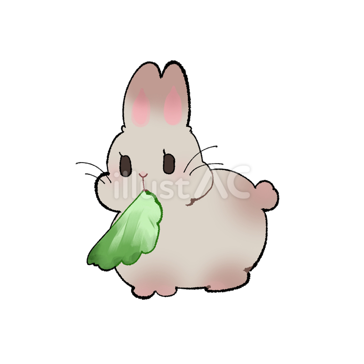 Free Vectors | Lettuce Rabbit