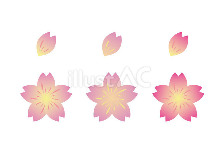 桜３色 桜,さくら,春のイラスト素材