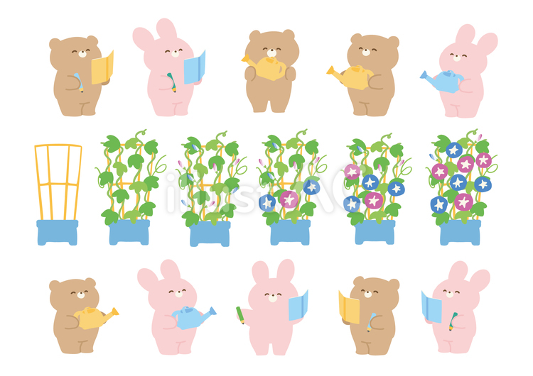 A4:くまとうさぎの朝顔観察セット くま,うさぎ,動物のイラスト素材