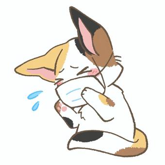 マスクをつけた三毛猫 マスク,感染予防,マスク予防,花粉症,医療,病気,風邪,くしゃみ,猫,三毛猫のイラスト素材